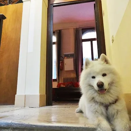 Hostal Youth Palace